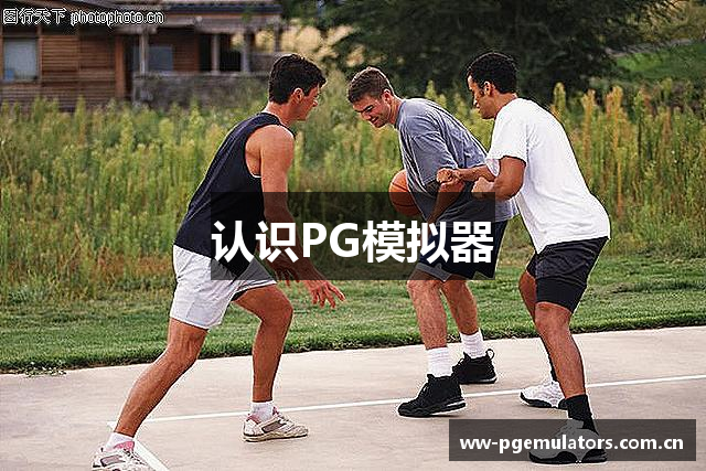 认识PG模拟器